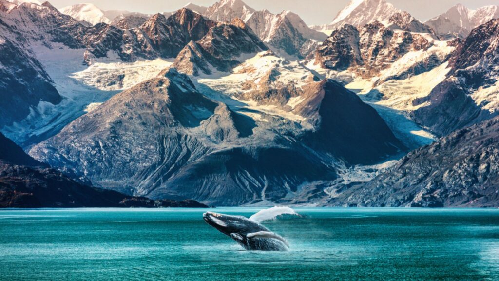 Web Featured Image