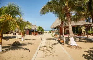 Walkway,to,the,beach,with,palm,trees,at,puerto,escondido