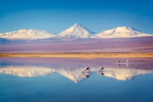 Snowy,licancabur,volcano,in,andes,montains,reflecting,in,the,wate