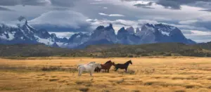 Torres,del,paine,national,park,,patagonia,,chile