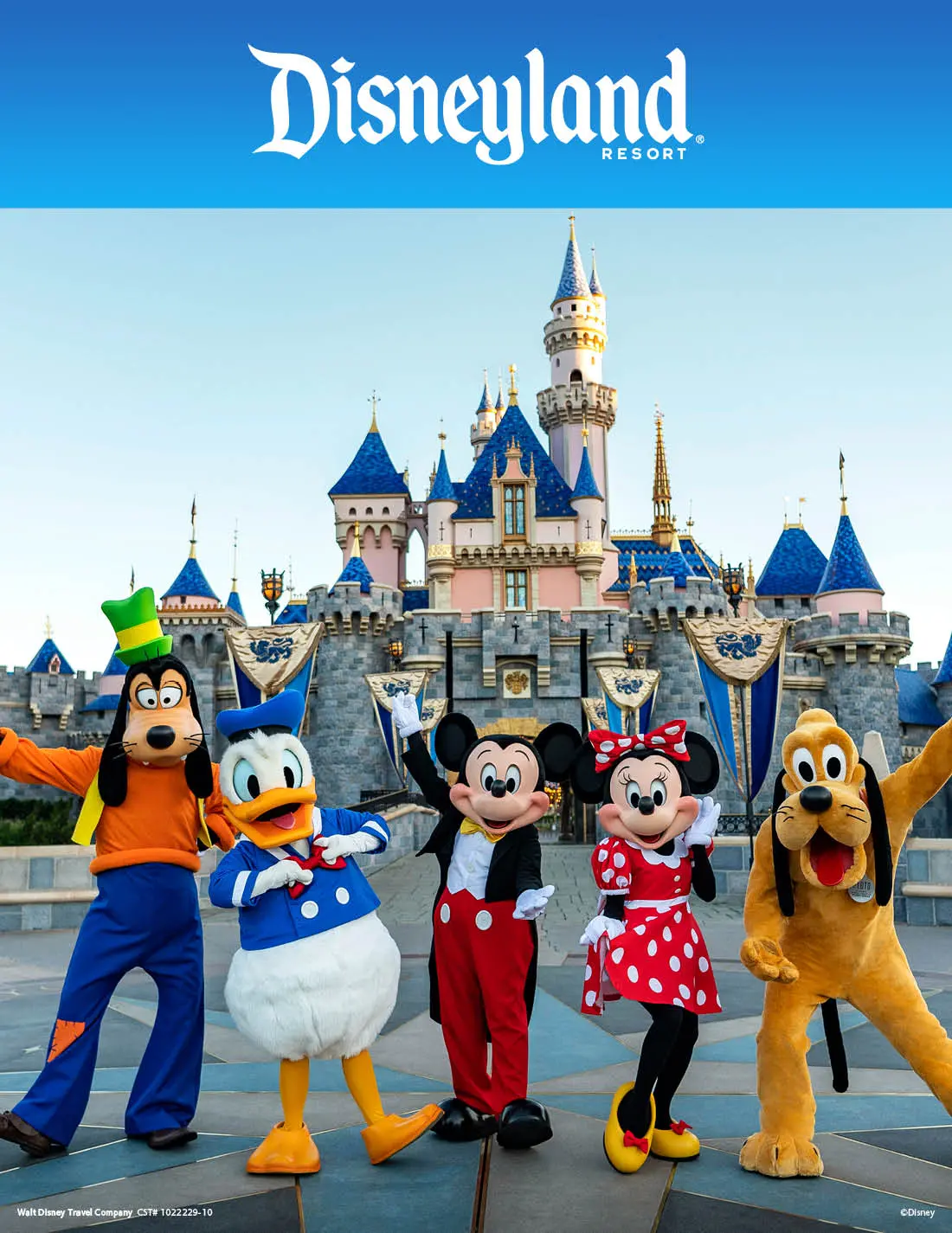 Disney Resort Brochure