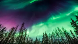 Alaska (10)
