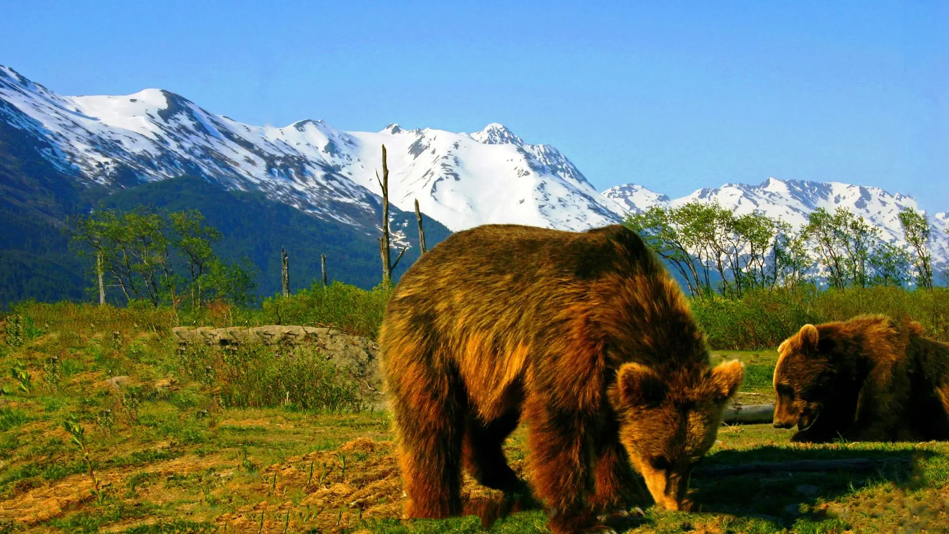 Alaska (2)
