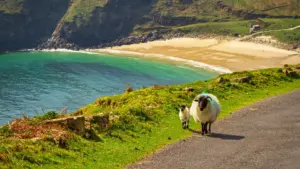 Ireland (4)