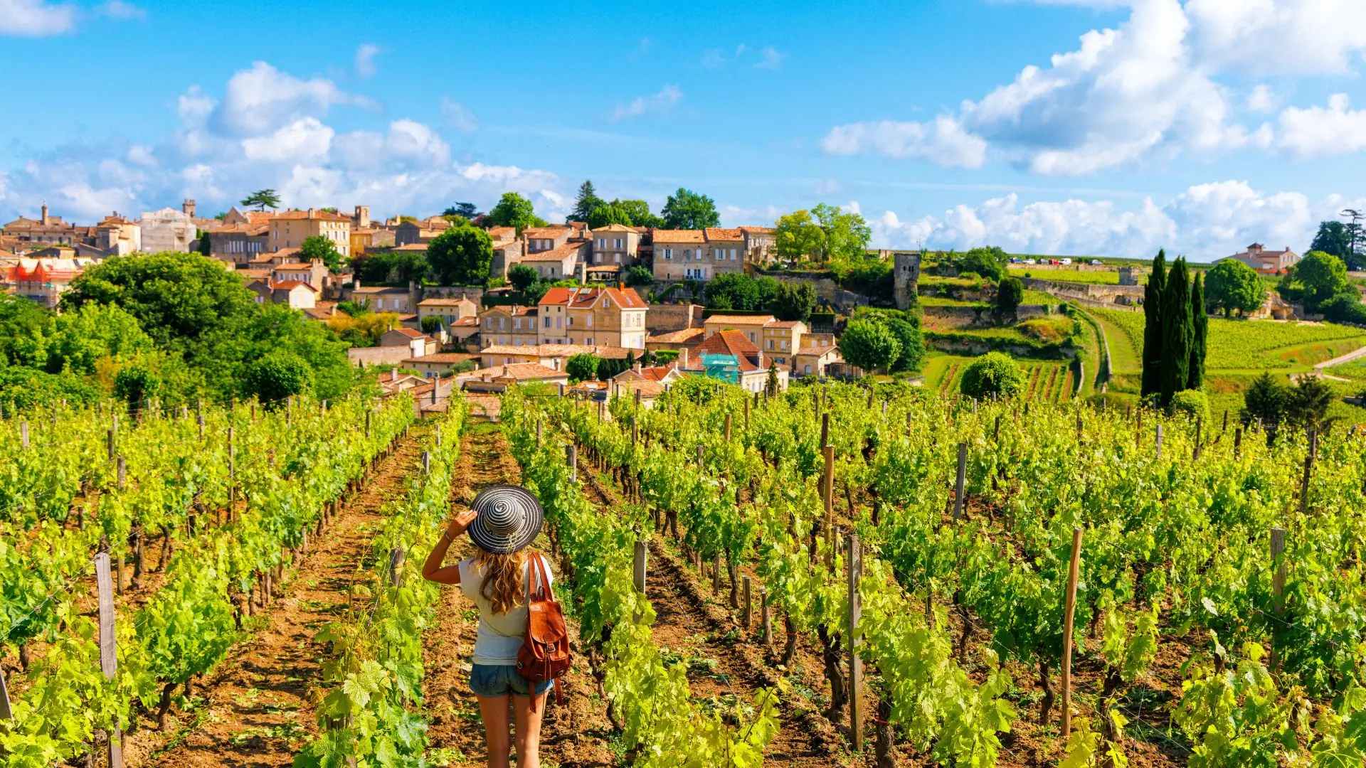 Taste Of Bordeaux (2)
