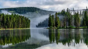 Majestic Montana & Yellowstone (6)