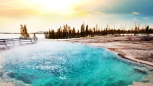 Yellowstone 8