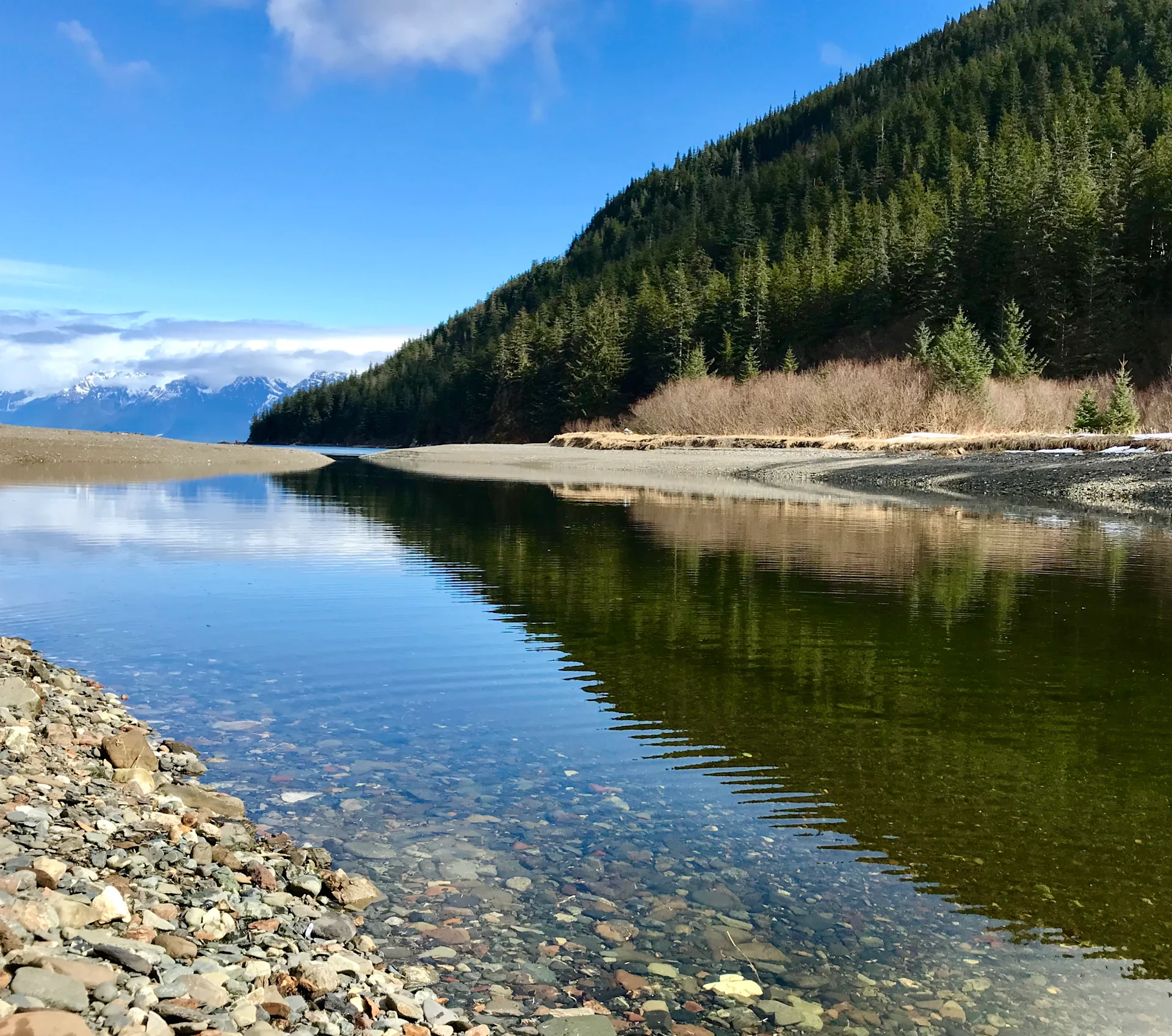 William Henry Bay Alaska Hgr 144113 (1)