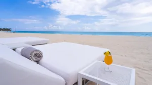 Tropical Deluxe Princess (5)