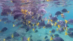 Galápagos Islands In Darwin’s Footsteps (14)