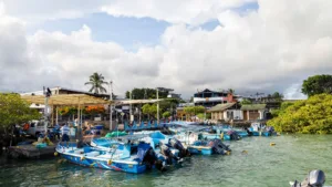 Galápagos Islands In Darwin’s Footsteps (15)