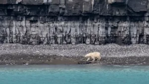 Northwest Passage (10)