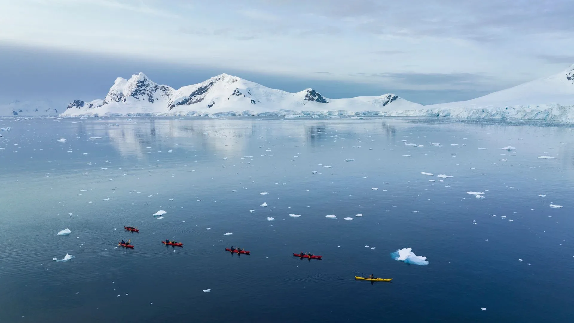 Iconic Antarctica Expedition Cruise (11)