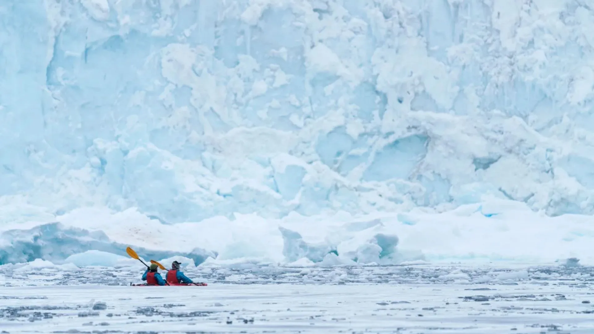 Iconic Antarctica Expedition Cruise (5)