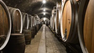 Balkan Discovery (4)